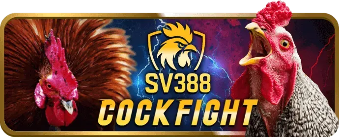 Quản lý vốn khi chơi Tài Xỉu gun88